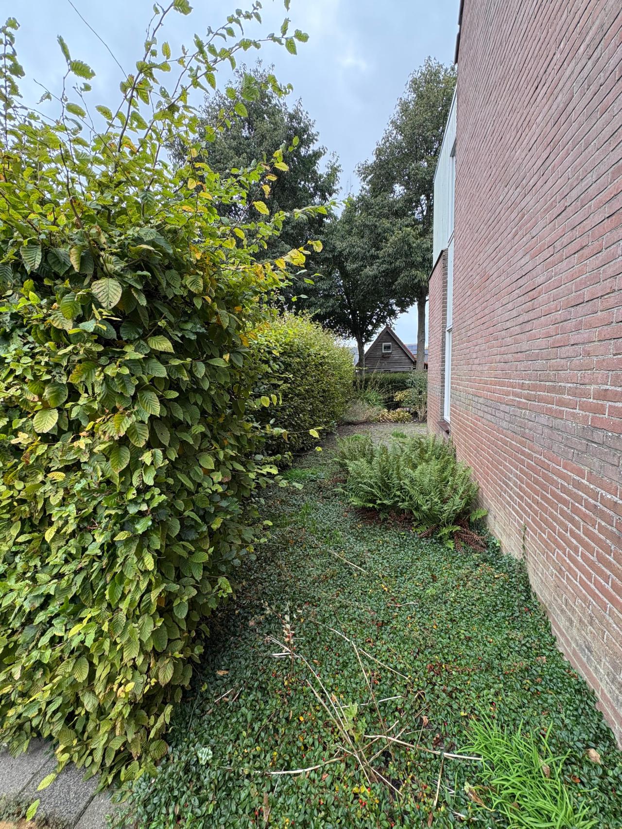 housePhoto