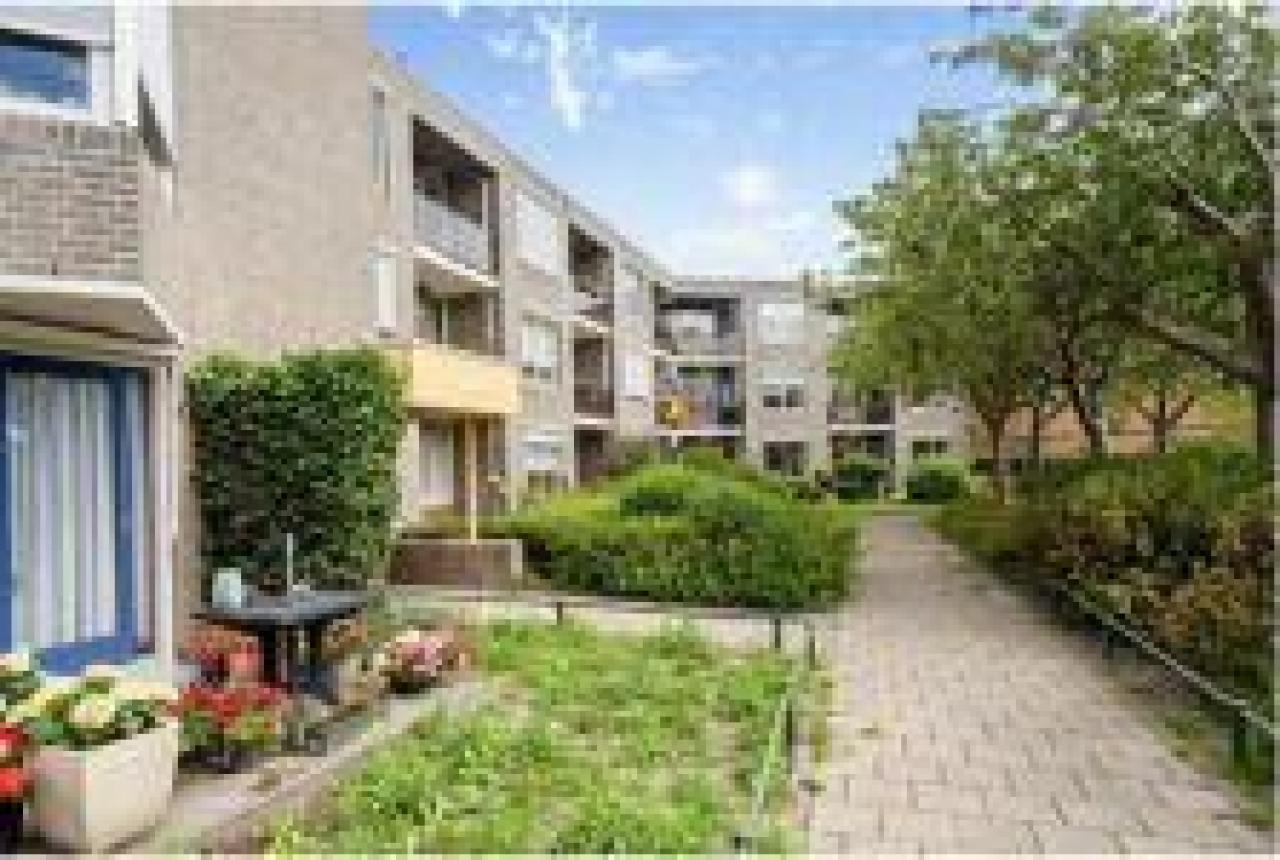 housePhoto