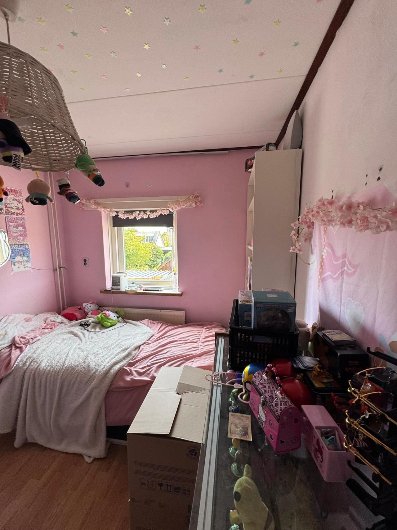 Leen Pietersestraat 33