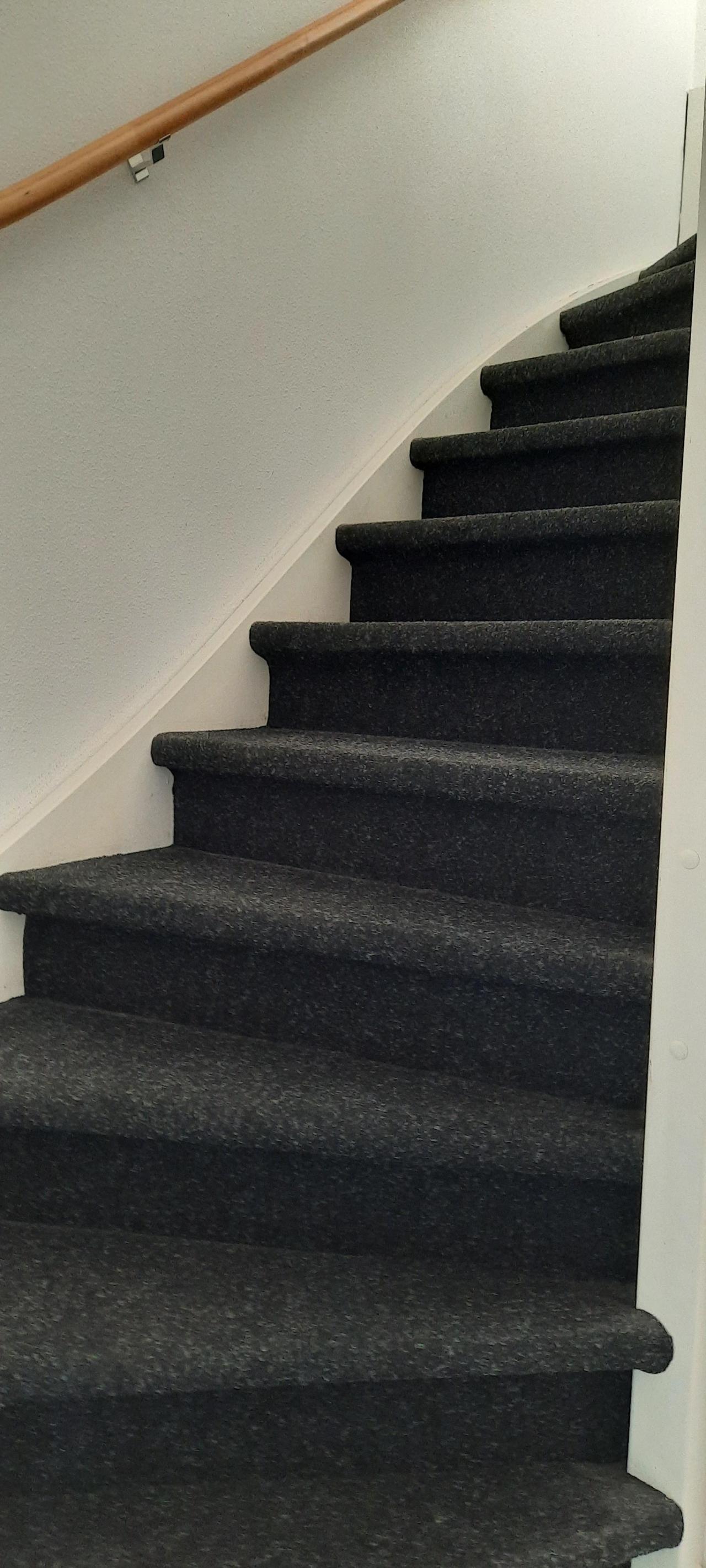 Professor Lorentzstraat 50