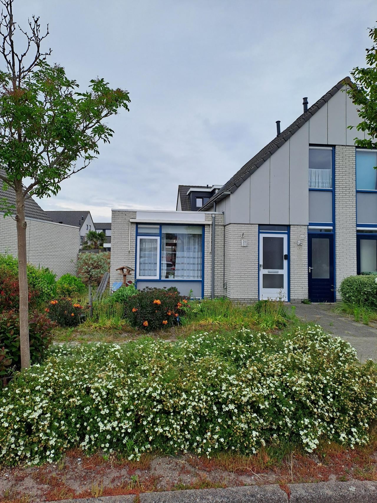 housePhoto