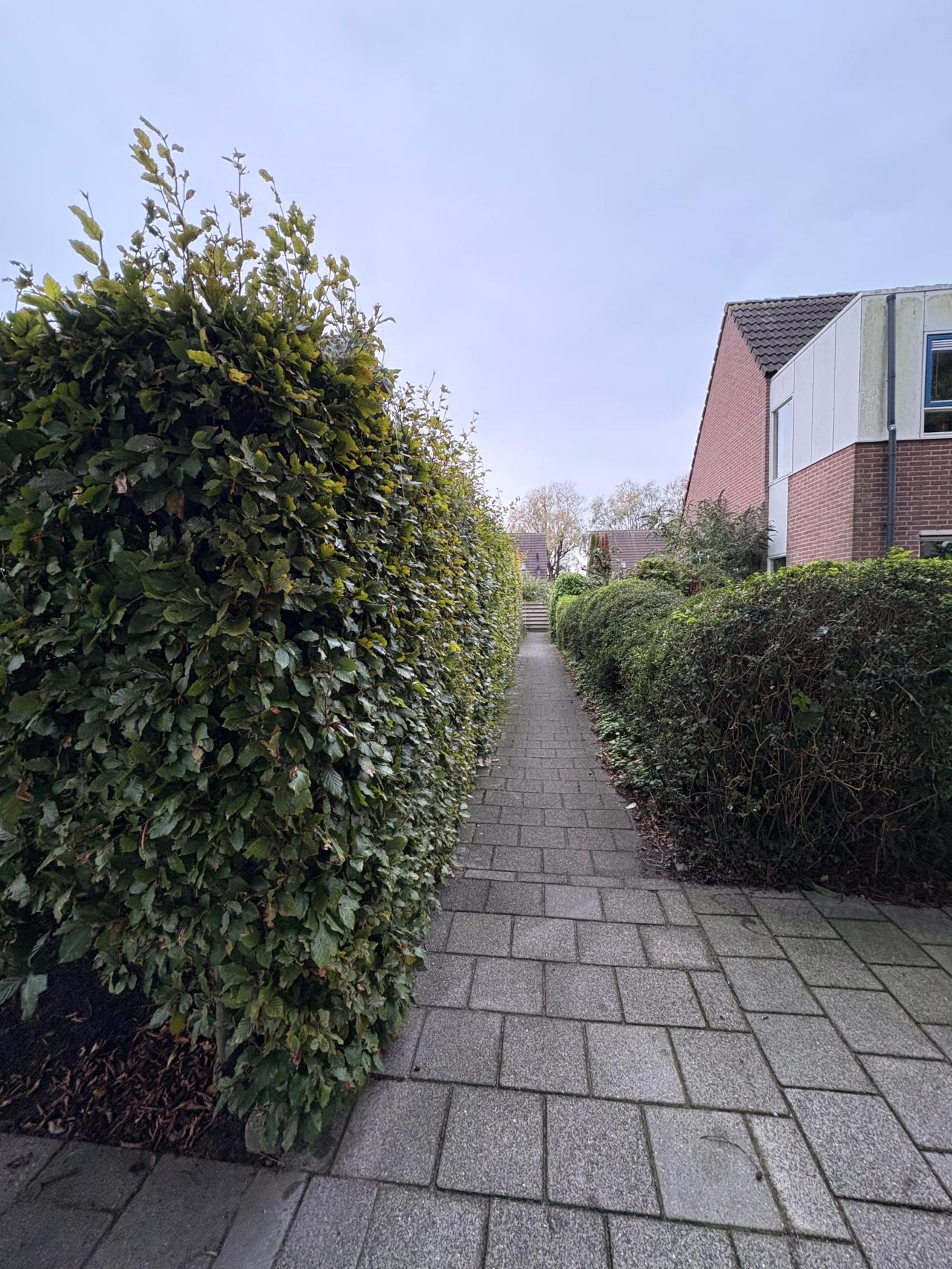 housePhoto