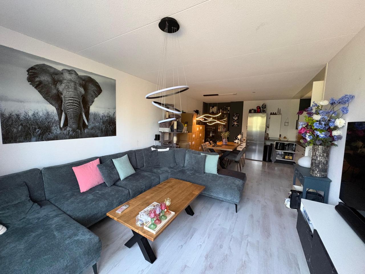 housePhoto