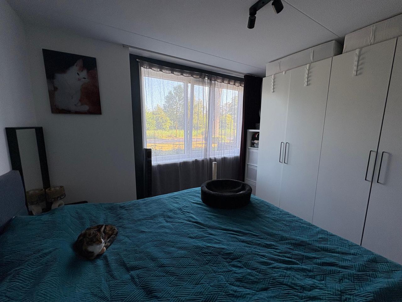 housePhoto