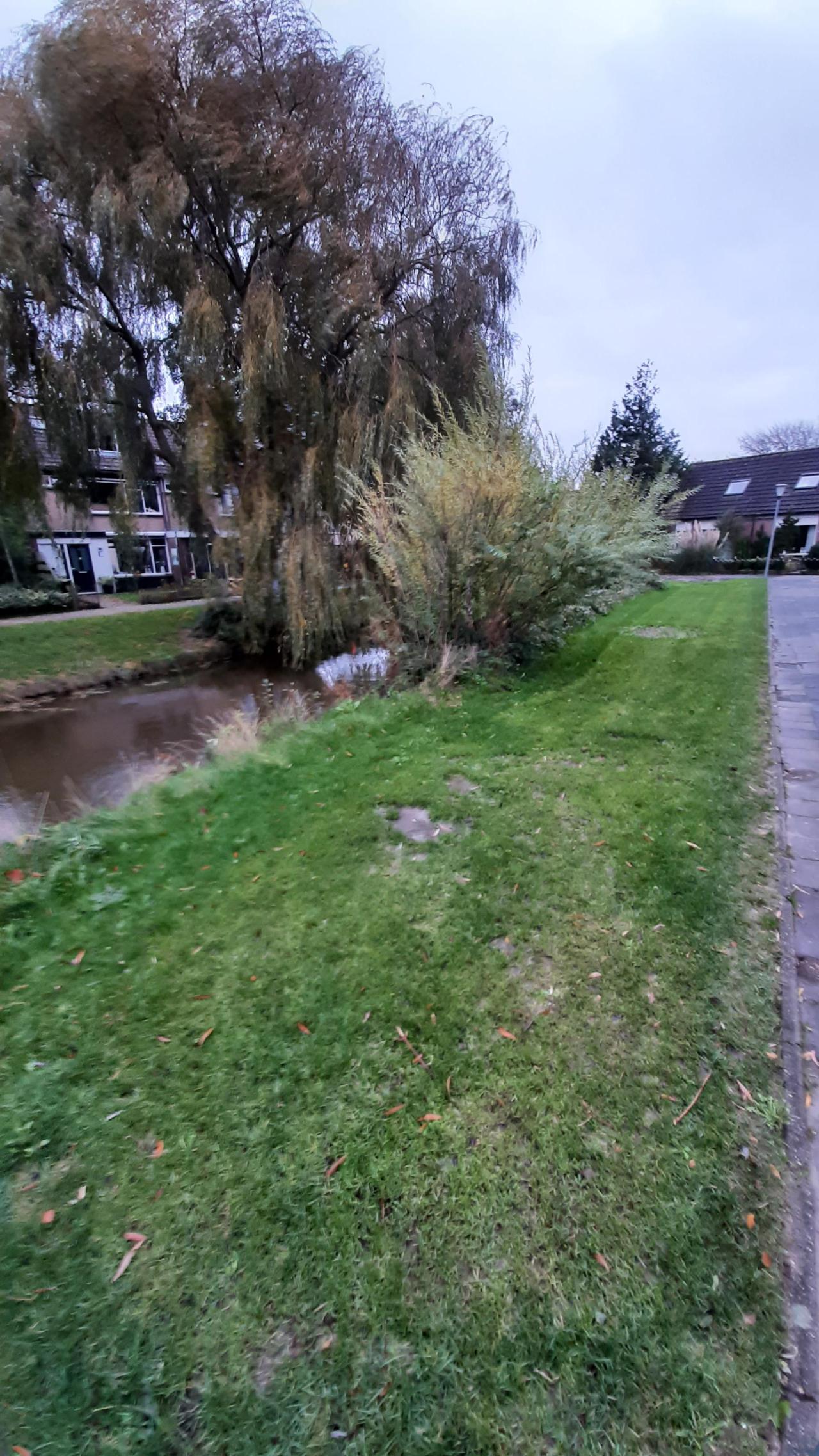 Elzensingel 1