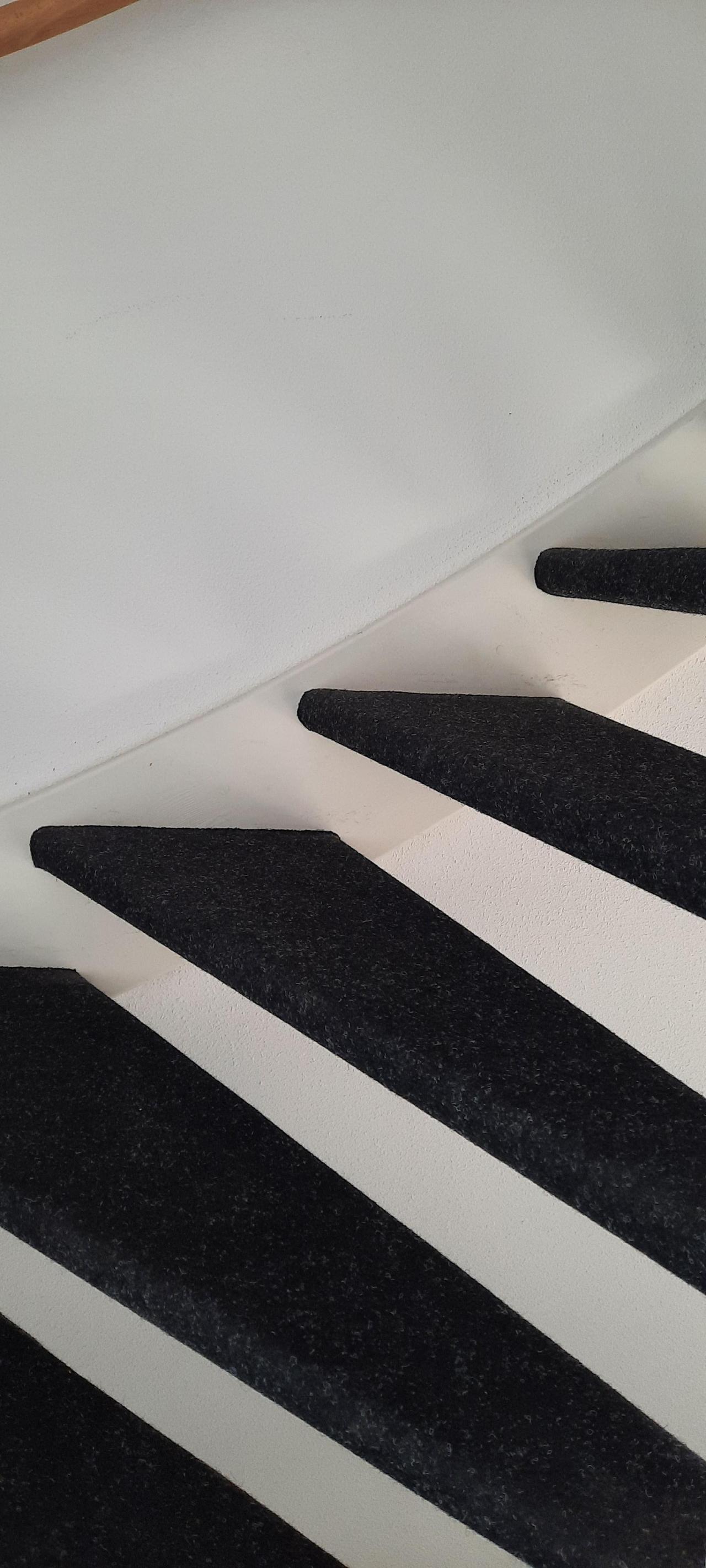 Professor Lorentzstraat 50