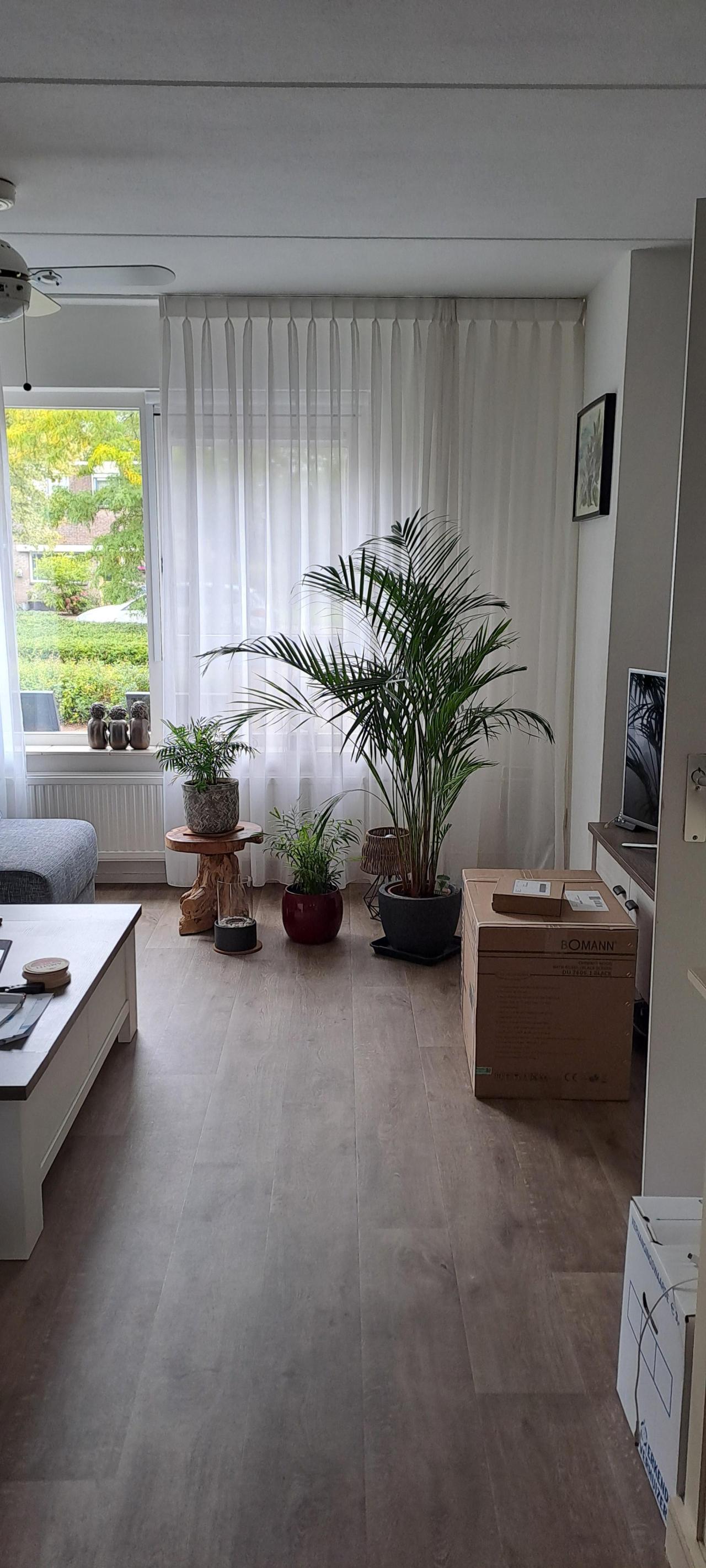 housePhoto