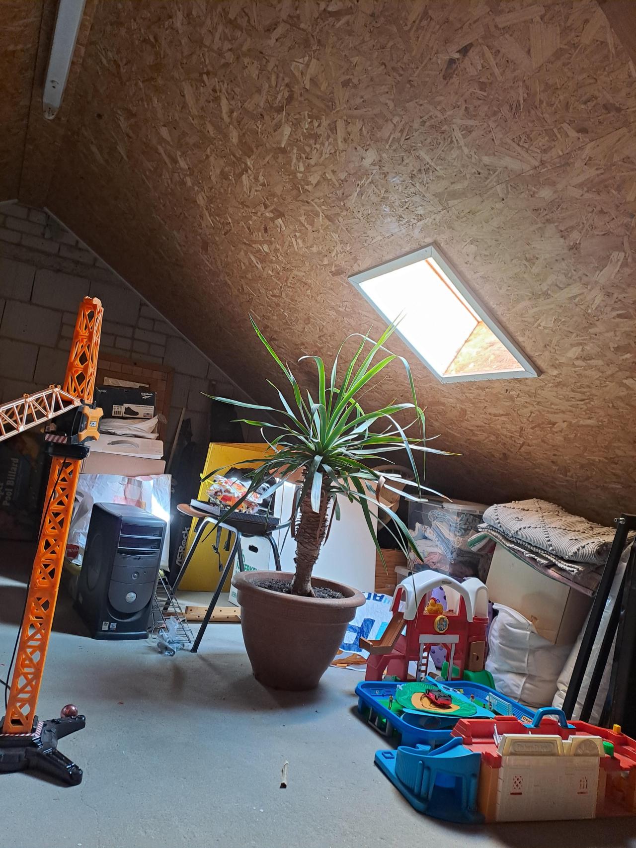 housePhoto