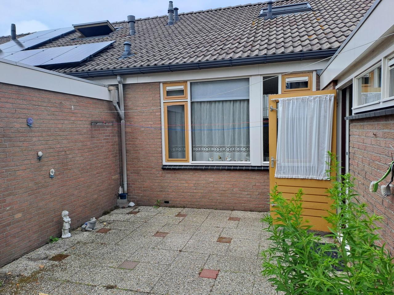 Tulpstraat 19