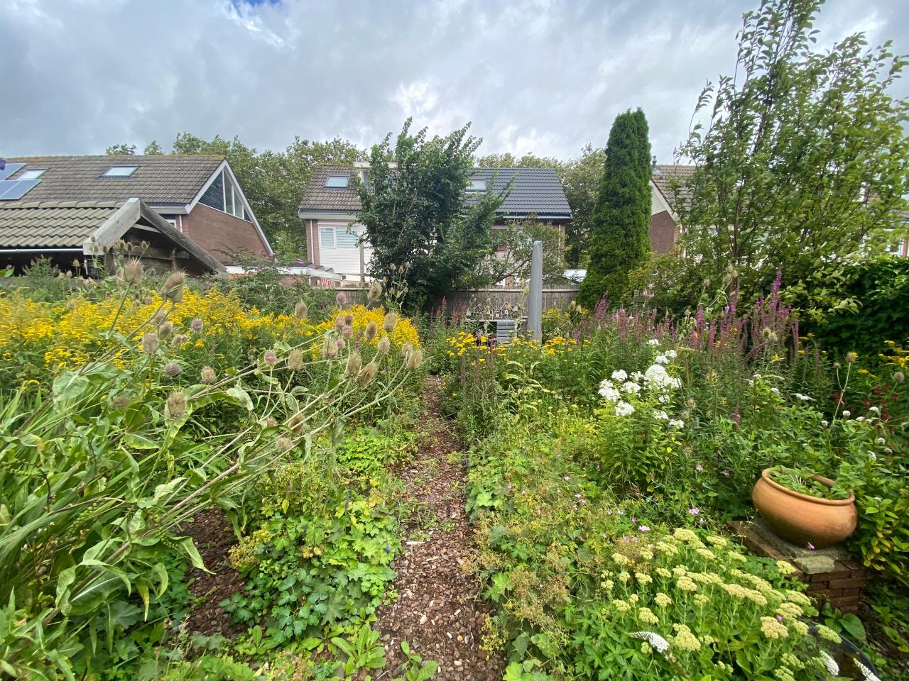 Burgemeester van Doornstraat 33