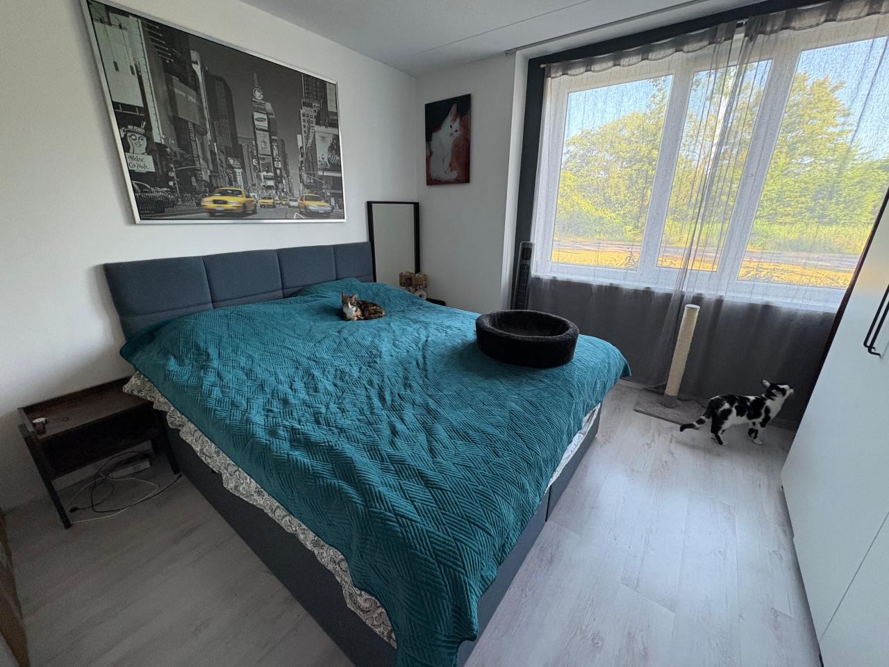 housePhoto
