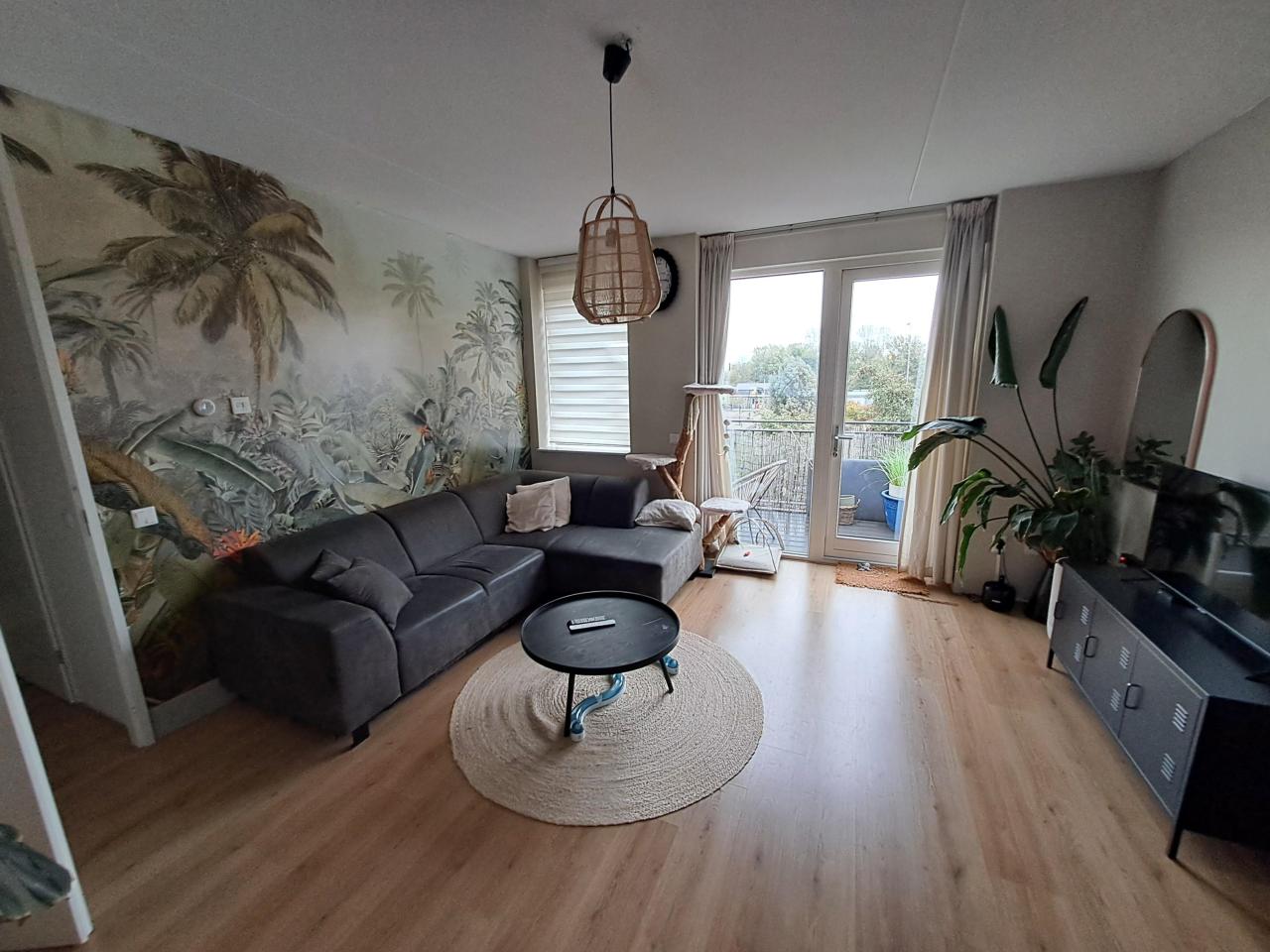housePhoto