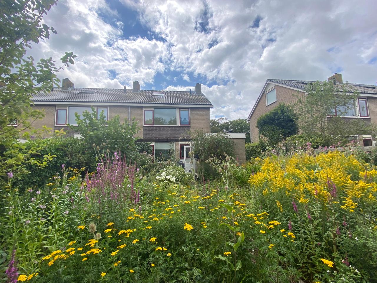 Burgemeester van Doornstraat 33