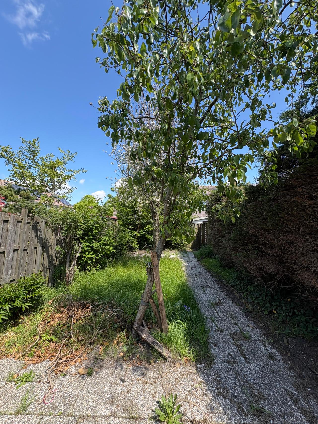 housePhoto