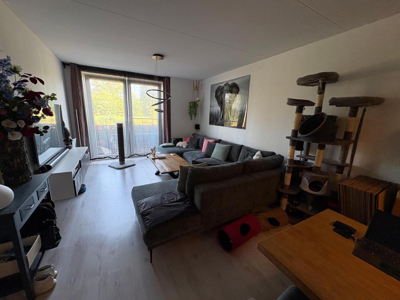 housePhoto