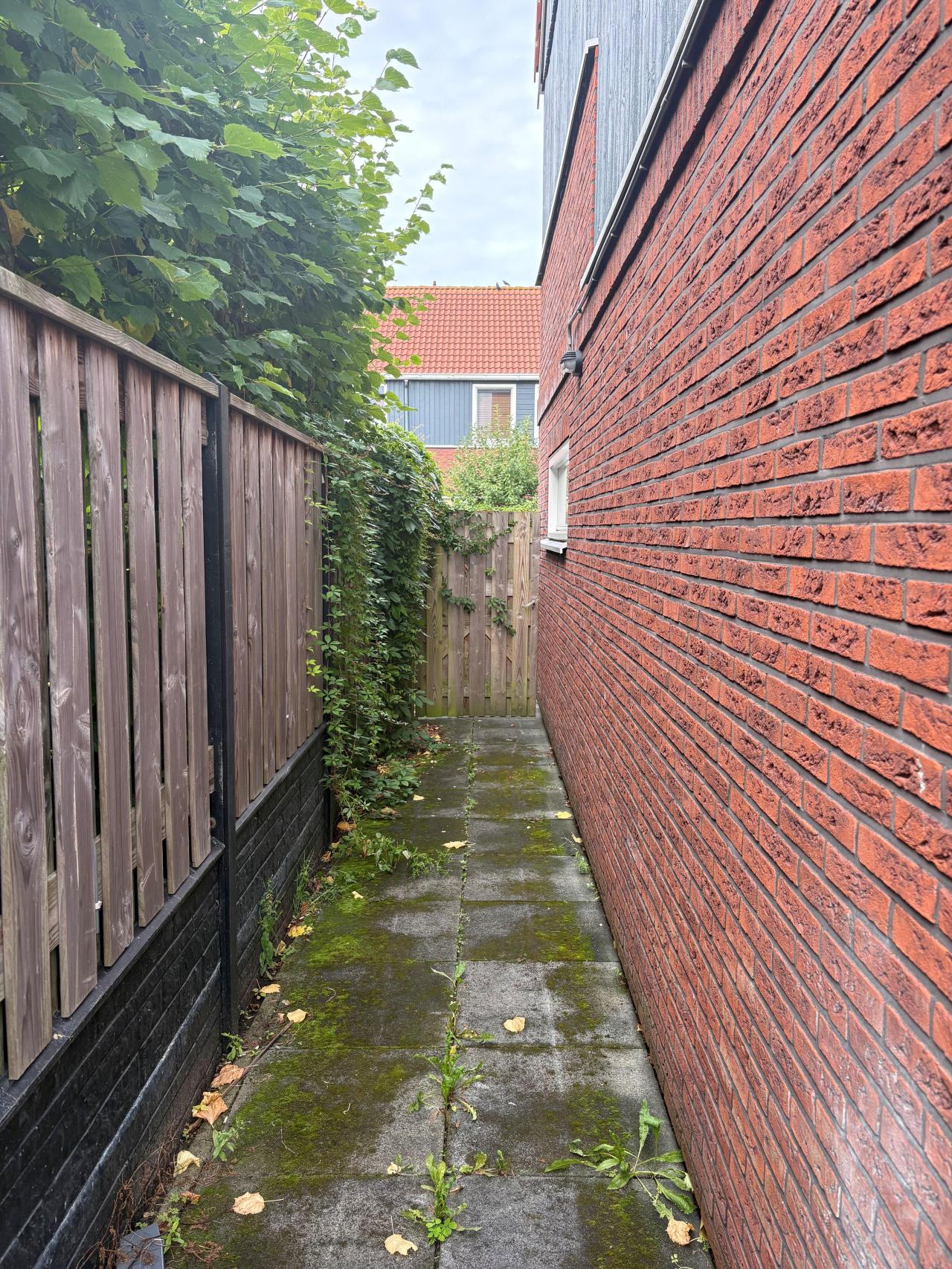 housePhoto