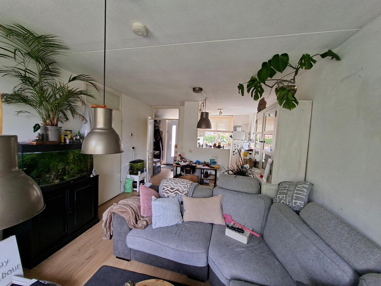 housePhoto