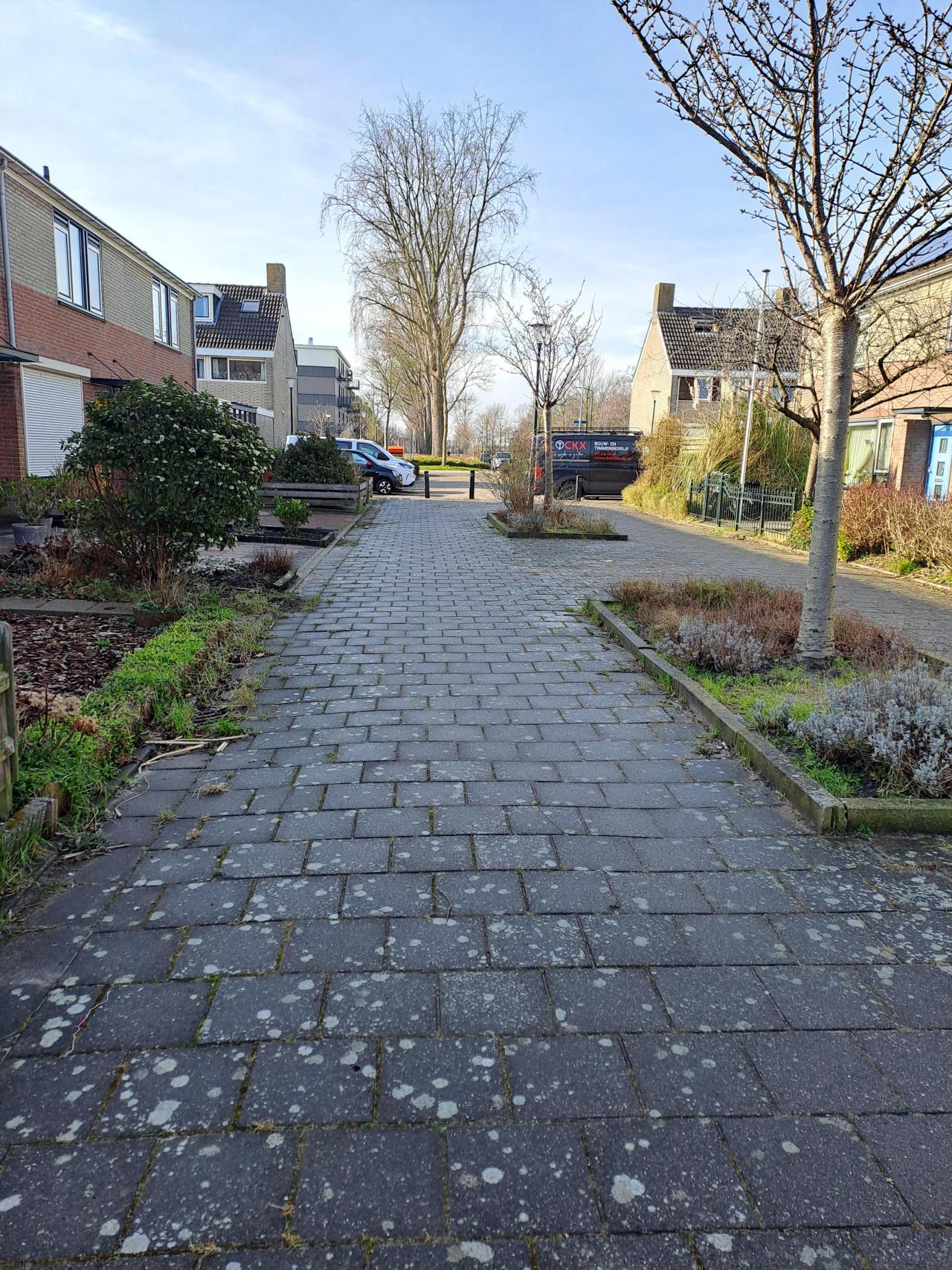 Sierkersstraat 13