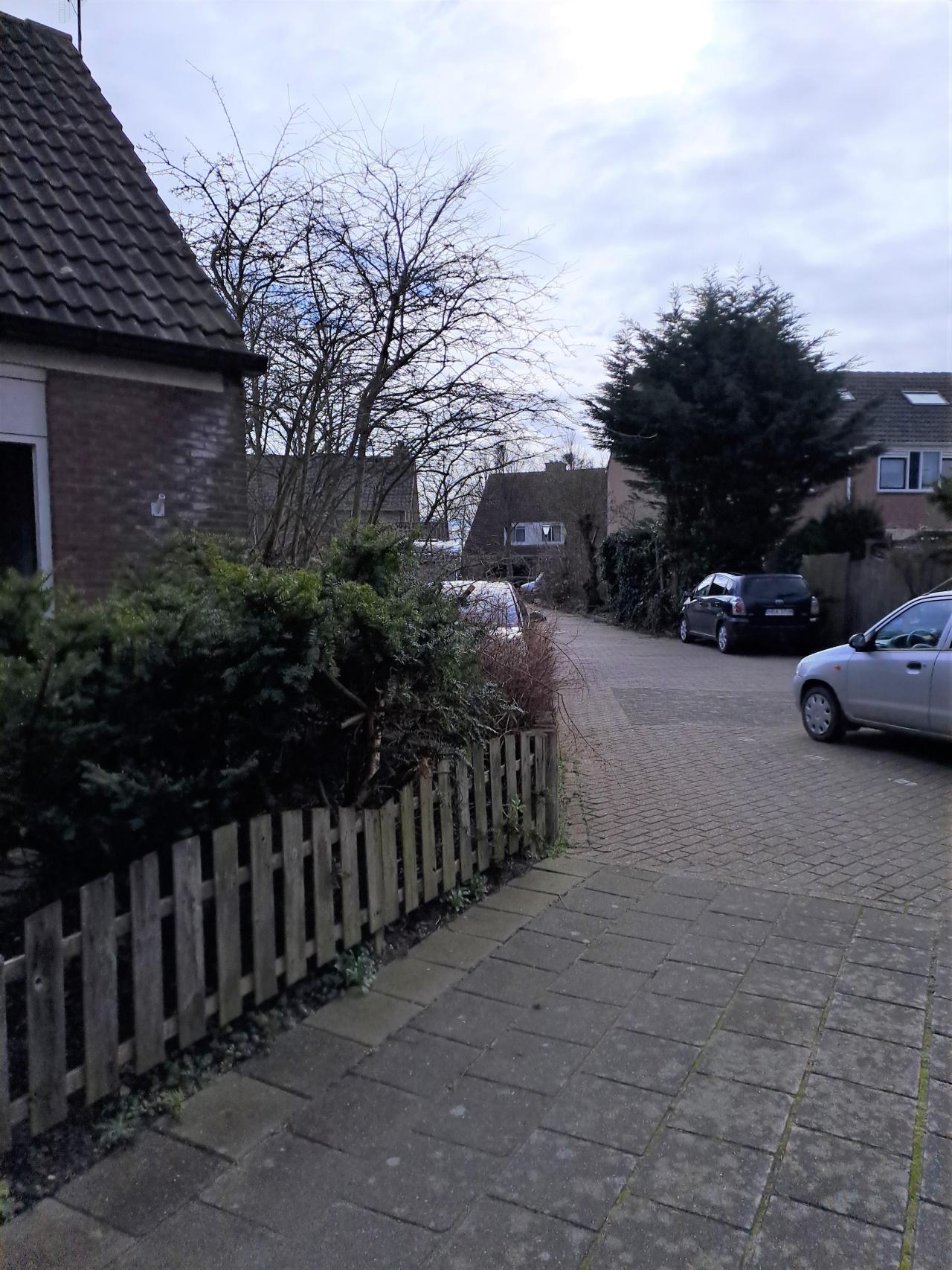 Elzensingel 9