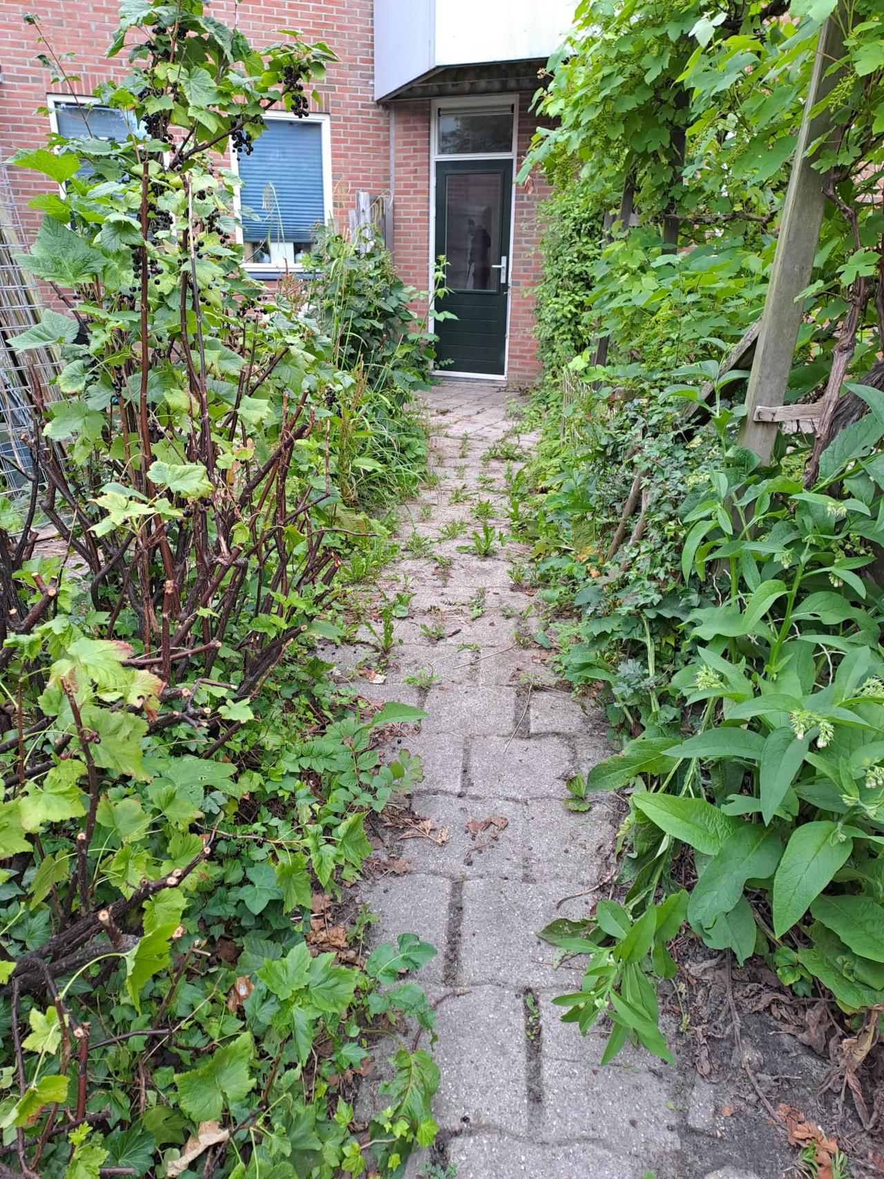 housePhoto
