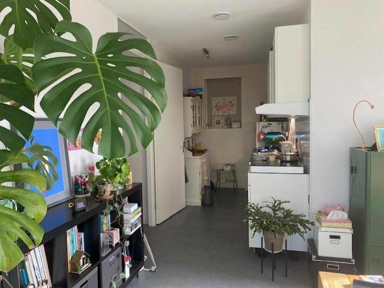 housePhoto