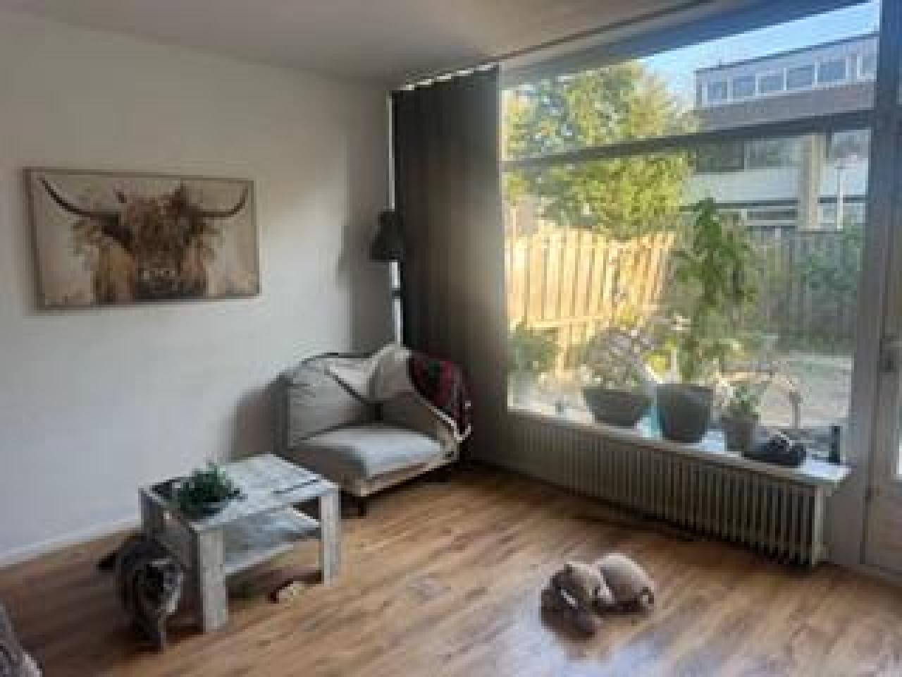 housePhoto