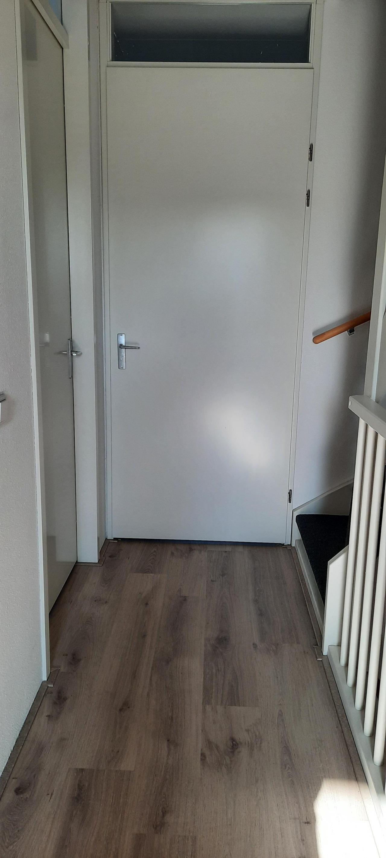 Professor Lorentzstraat 50